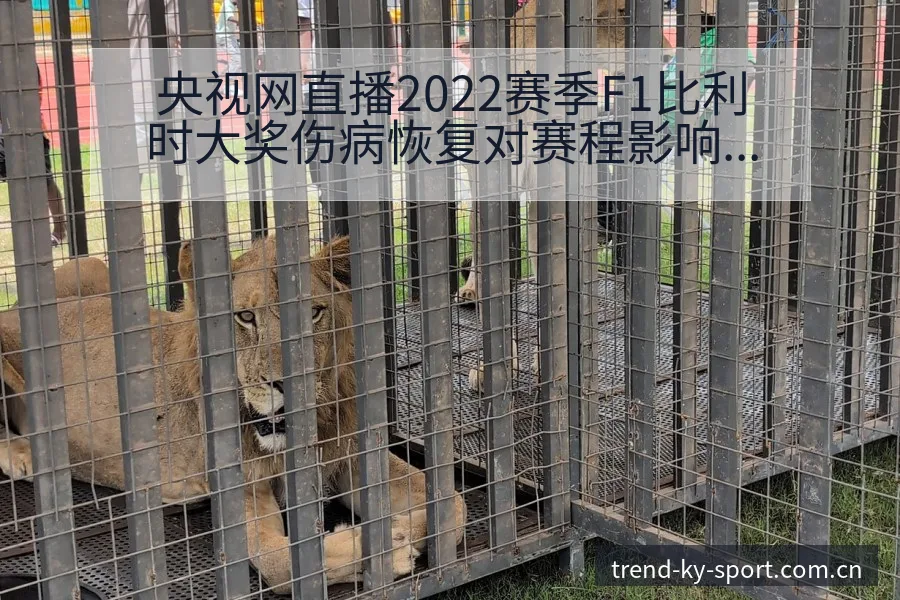 央视网直播2022赛季F1比利时大奖伤病恢复对赛程影响签 - 开云体育