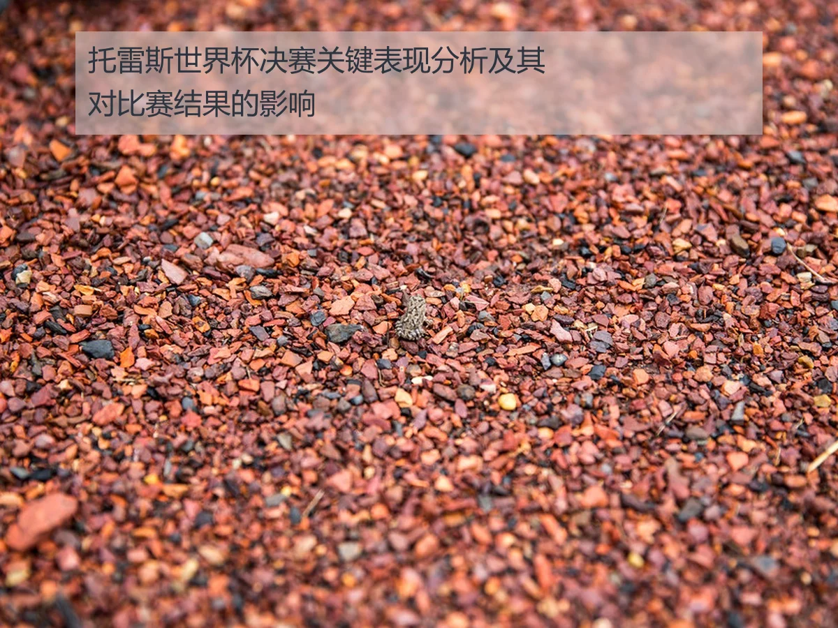 托雷斯世界杯决赛关键表现分析及其对比赛结果的影响